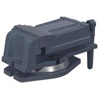 vidaXL Menghină pivotantă, 125 mm, fontă